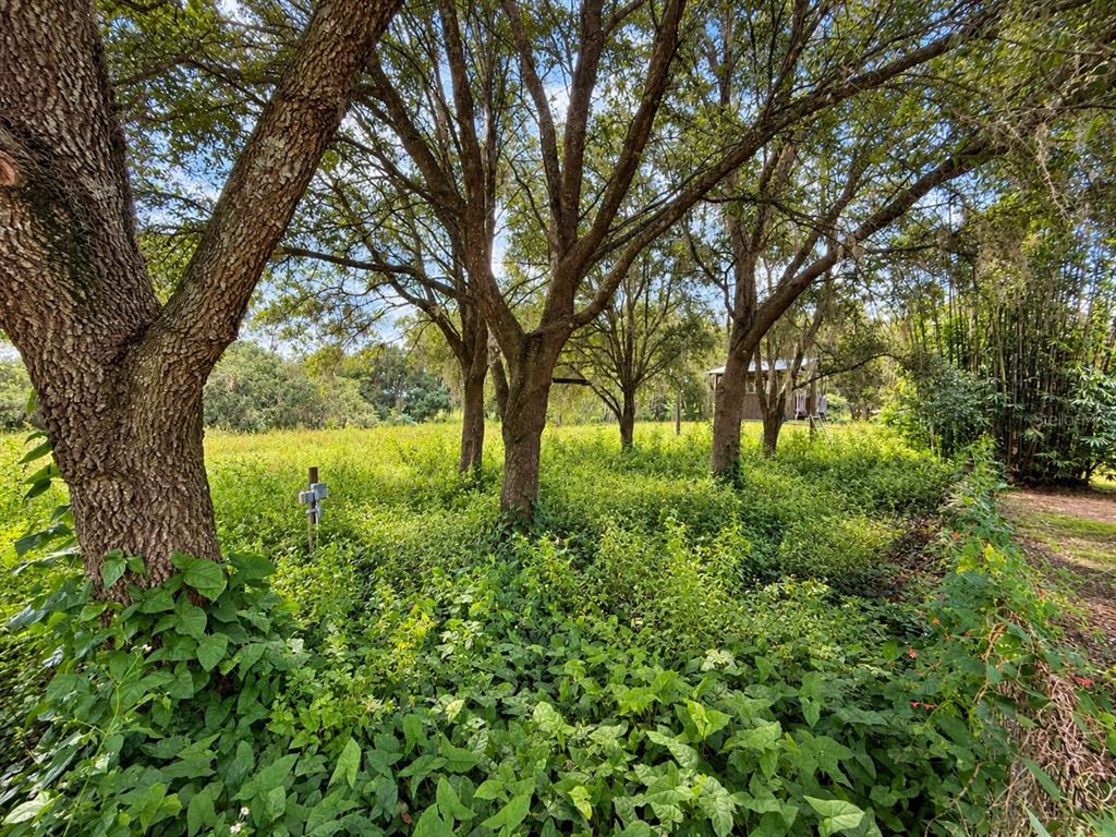 26143 Lambeth Road Brooksville, FL 34601 - Photo 54 of 61 Gallery Image 54