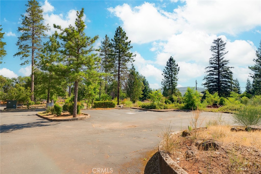 6009 Pentz Road Paradise, CA 95969 - Photo 8 of 23