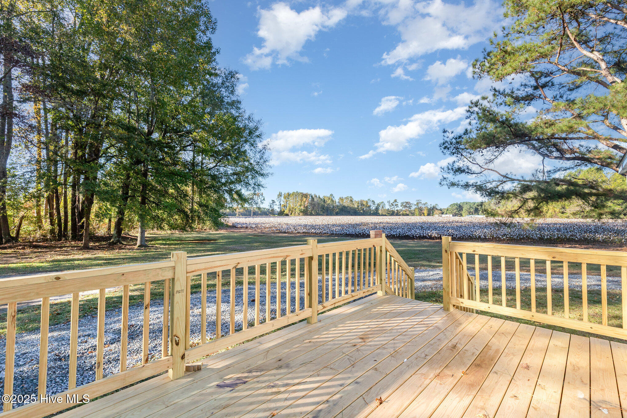 768 Hales Road Kenly, NC 27542 - Photo 18 of 25 017_img_5494-edit_178
