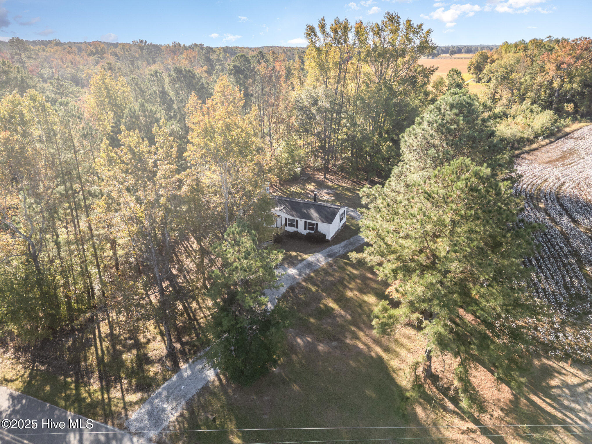 768 Hales Road Kenly, NC 27542 - Photo 21 of 25 020_1-edit_396