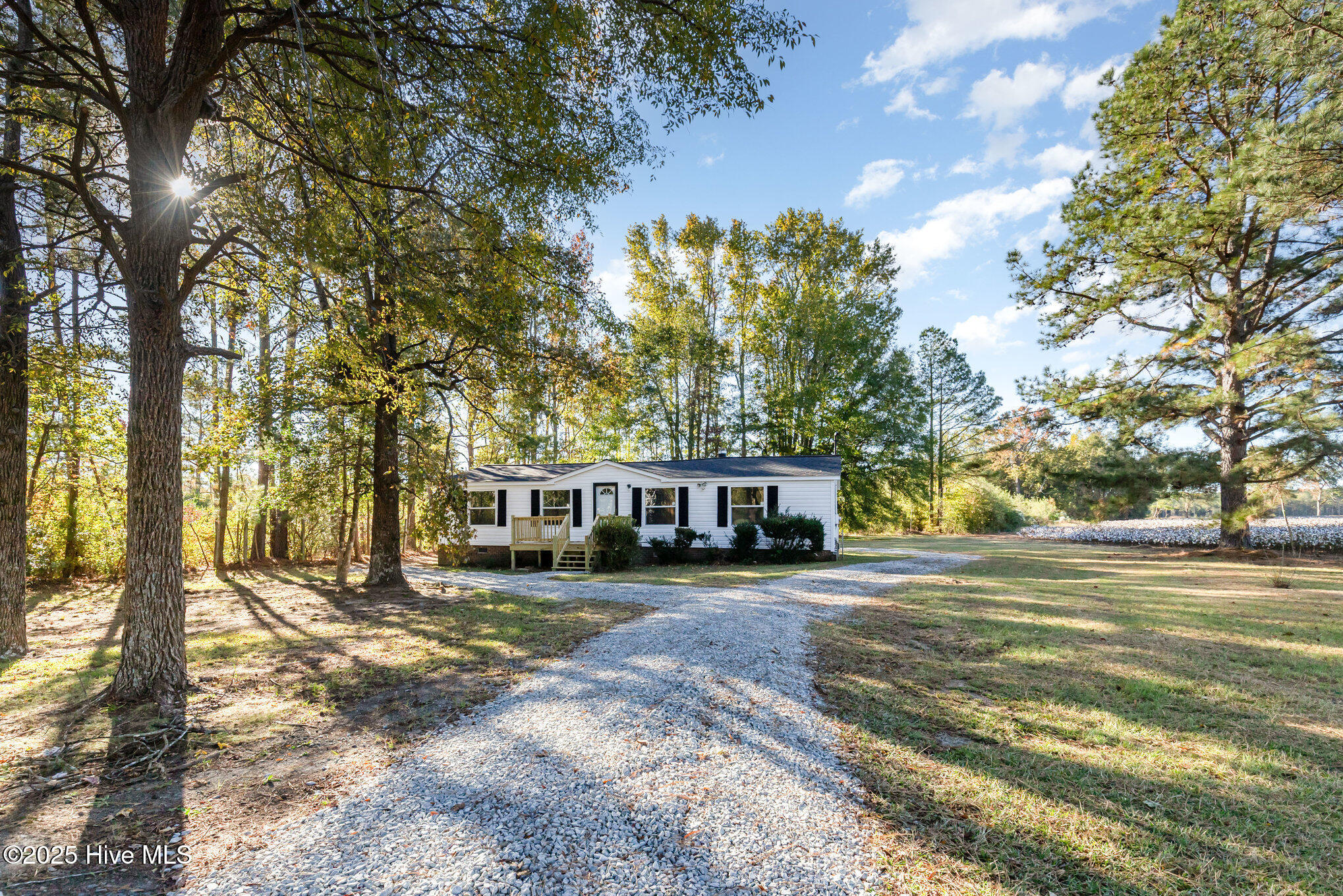 768 Hales Road Kenly, NC 27542 - Photo 3 of 25 002_img_5498-edit_196