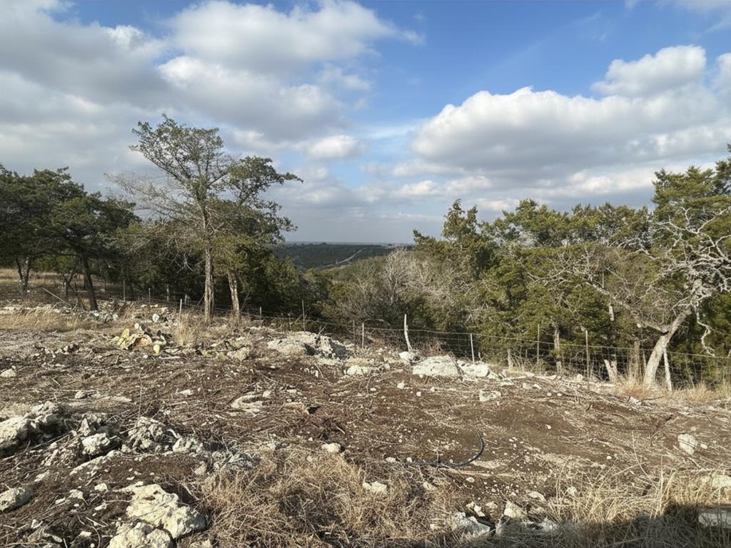 201 Summit Drive Ingram, TX 78025 - Photo 1 of 4 a view of a forest filled with trees