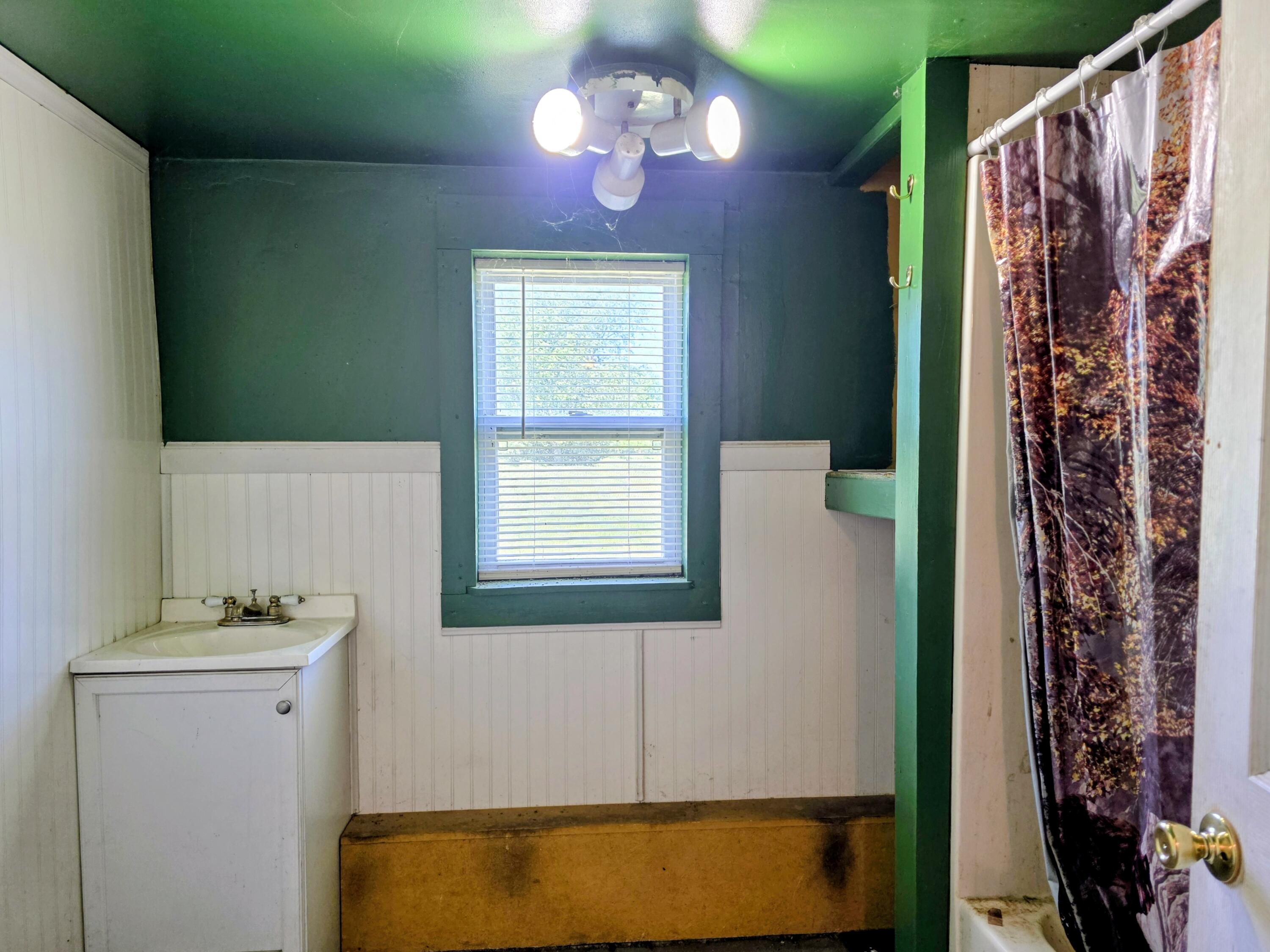 1252 Railroad Road Union City, MI 49094 - Photo 9 of 14 2nd bathroom