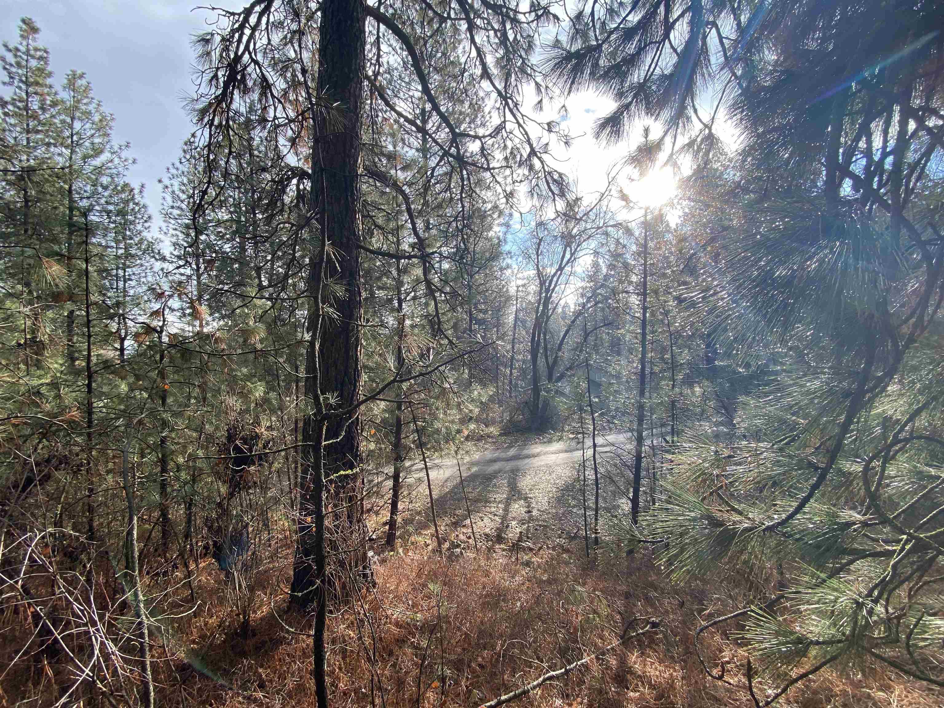 104 South Azalea Drive Spokane, WA 99224 - Photo 11 of 12