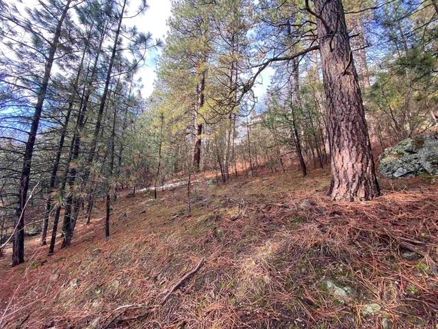 $65,000 | 104 South Azalea Drive, Spokane, WA 99224