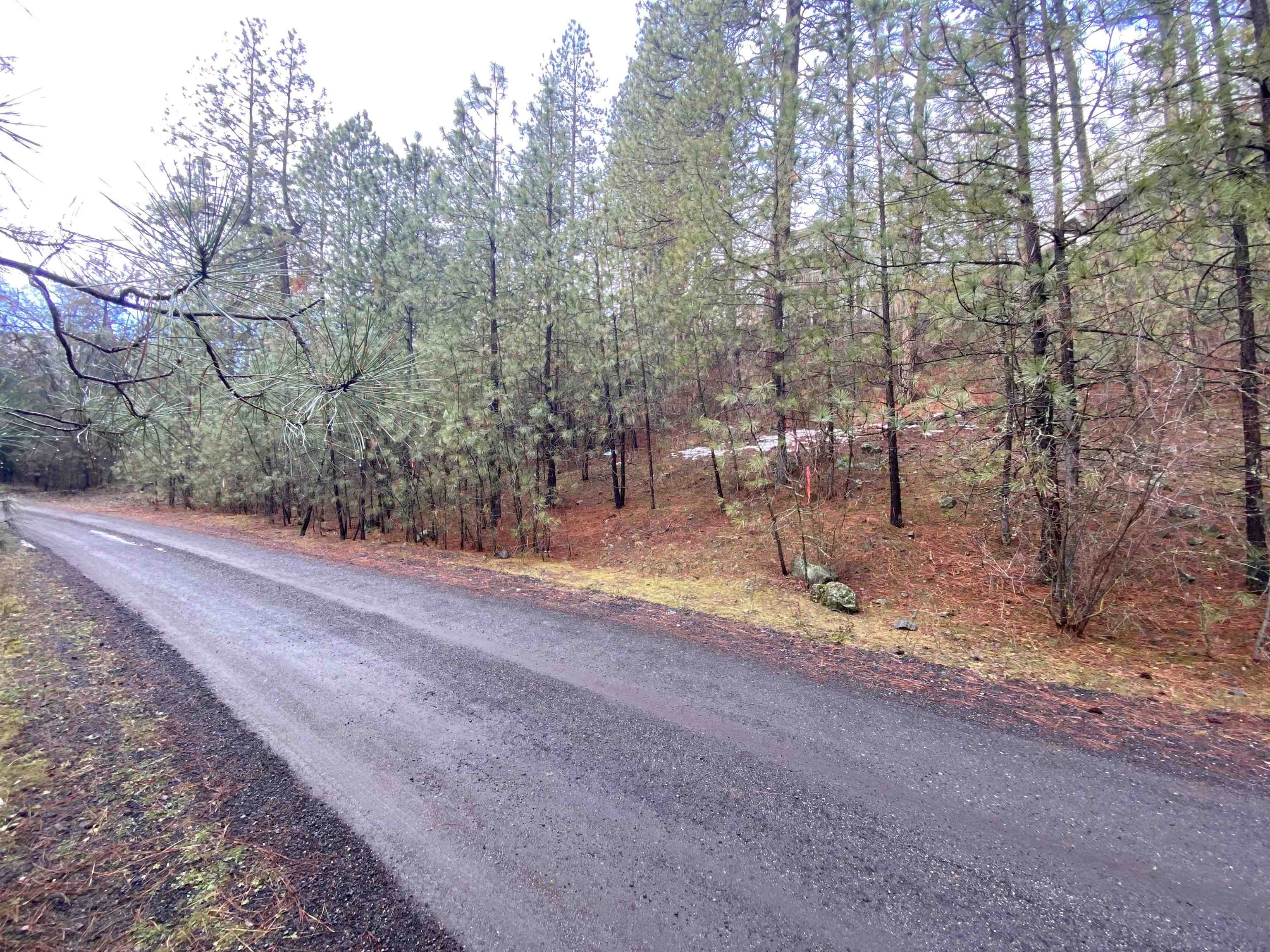 104 South Azalea Drive Spokane, WA 99224 - Photo 2 of 12