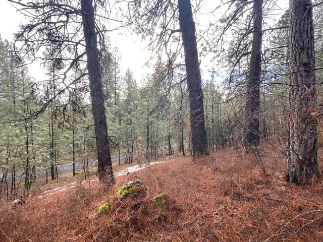 $65,000 | 104 South Azalea Drive, Spokane, WA 99224