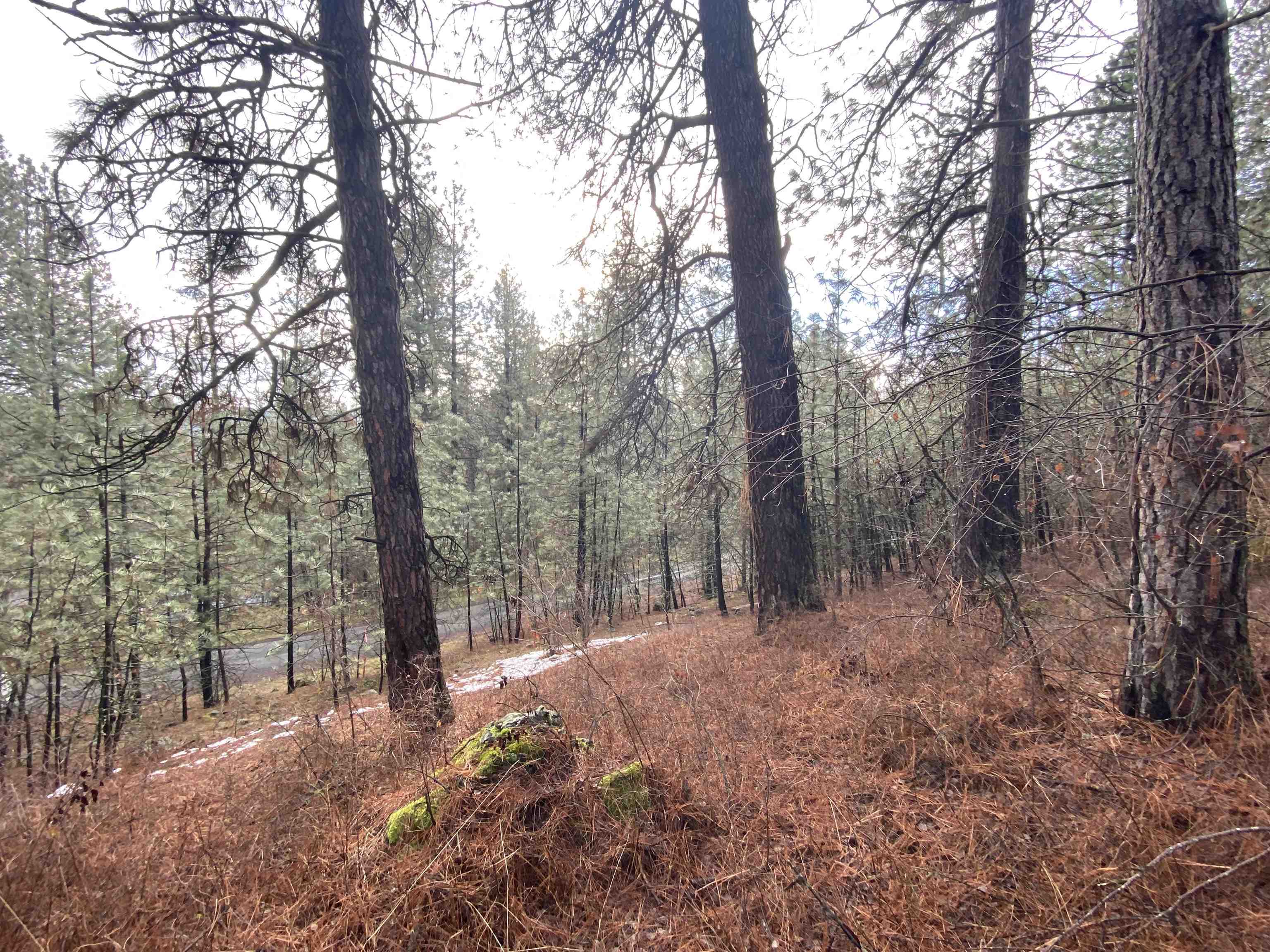 104 South Azalea Drive Spokane, WA 99224 - Photo 3 of 12