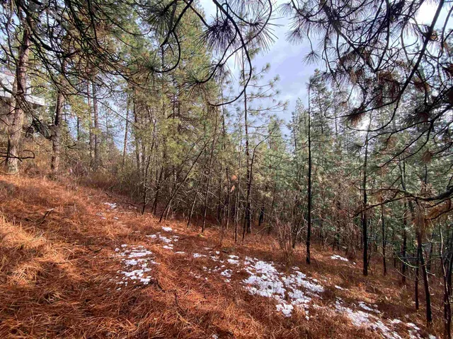 $65,000 | 104 South Azalea Drive, Spokane, WA 99224