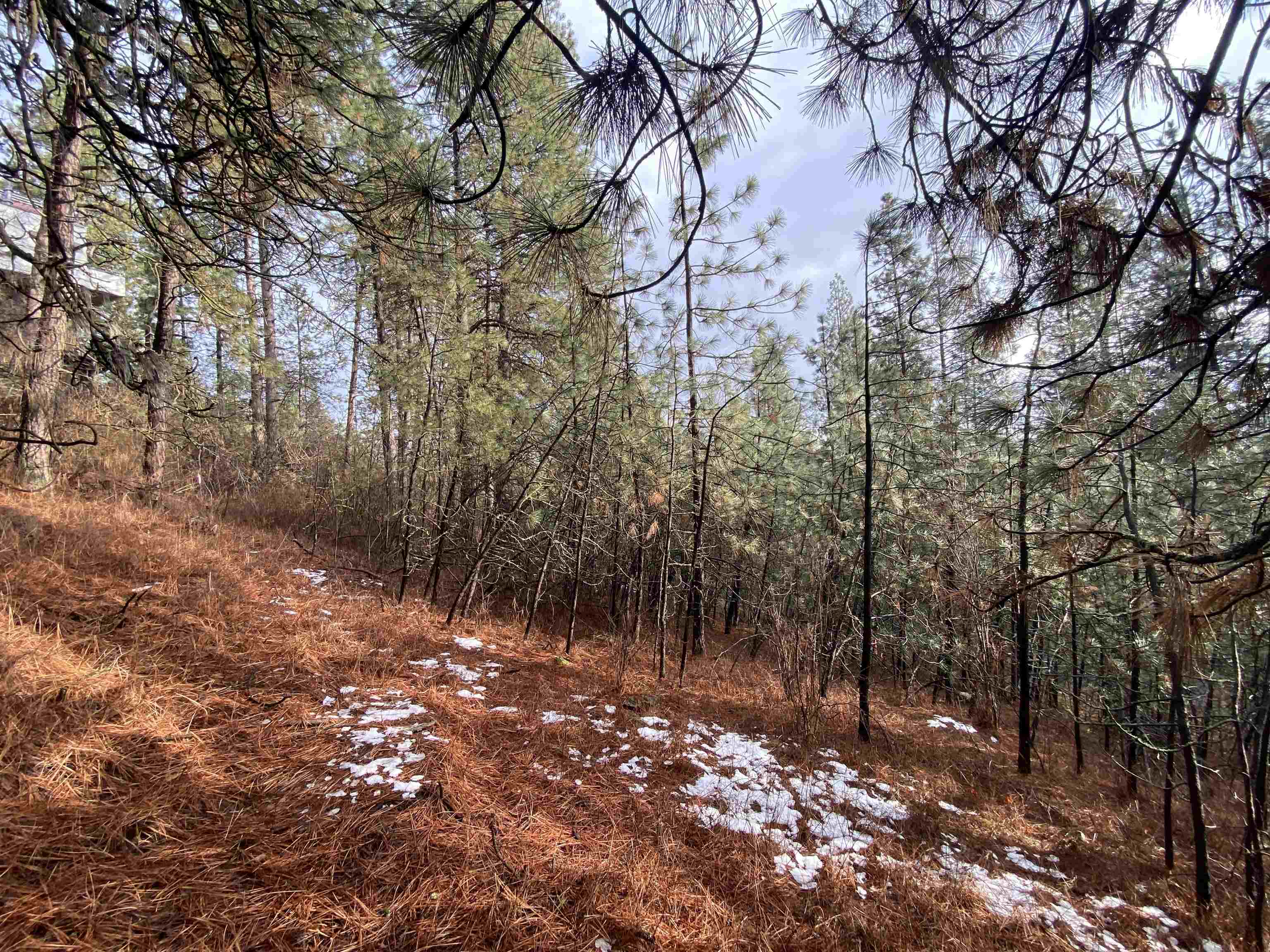 104 South Azalea Drive Spokane, WA 99224 - Photo 5 of 12