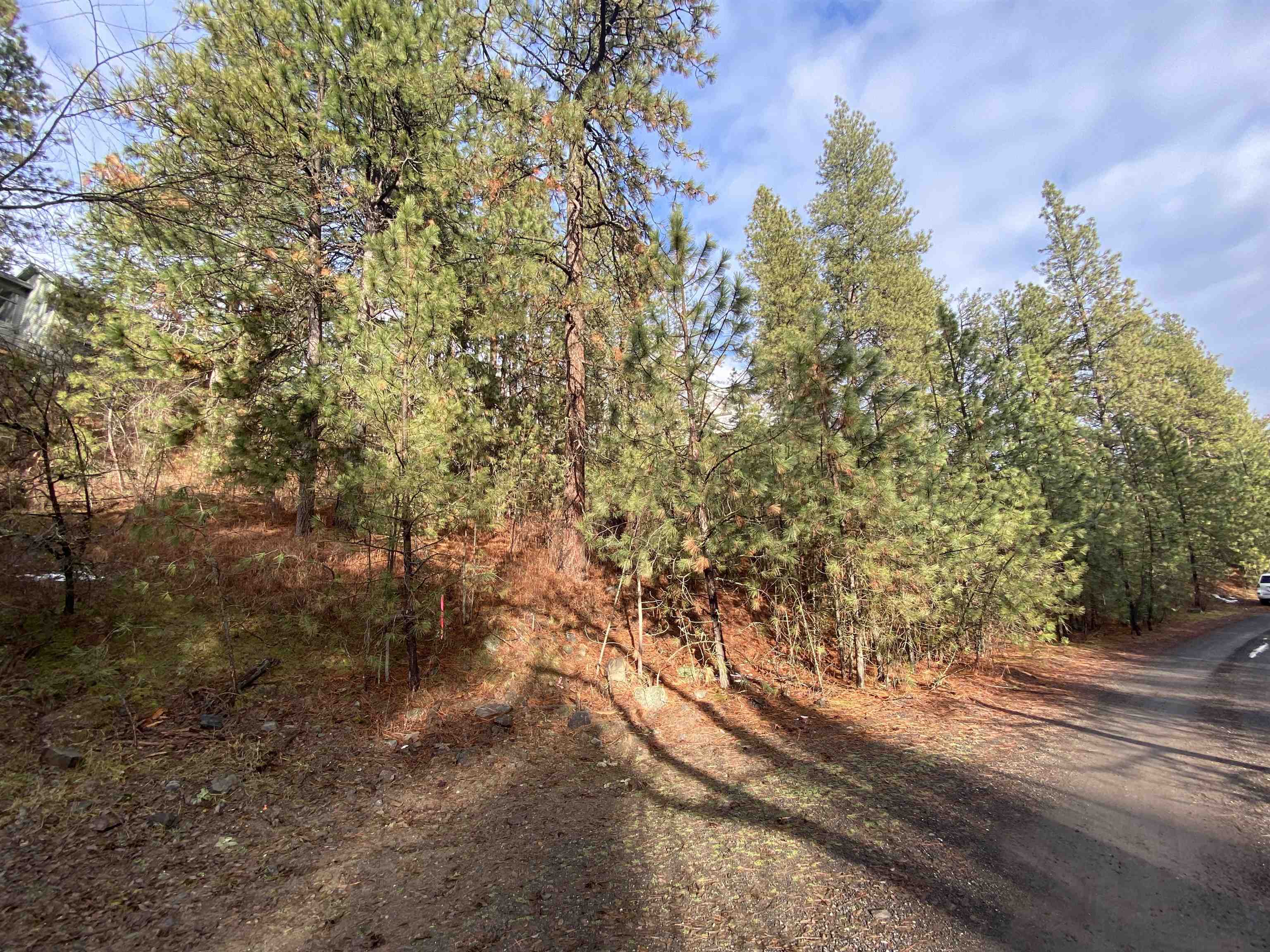 104 South Azalea Drive Spokane, WA 99224 - Photo 8 of 12