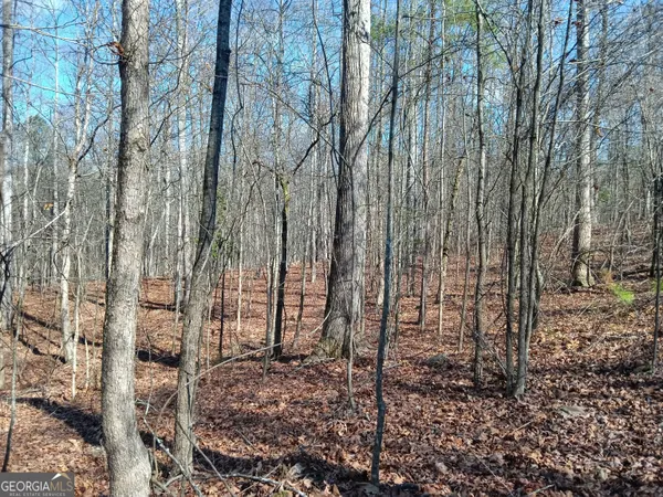 a view of a yard with large trees