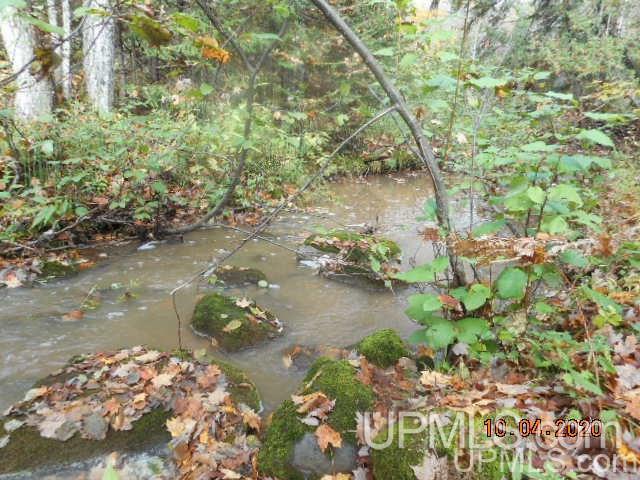28662 South Wasas Road Mass City, MI 49948 - Photo 8 of 13