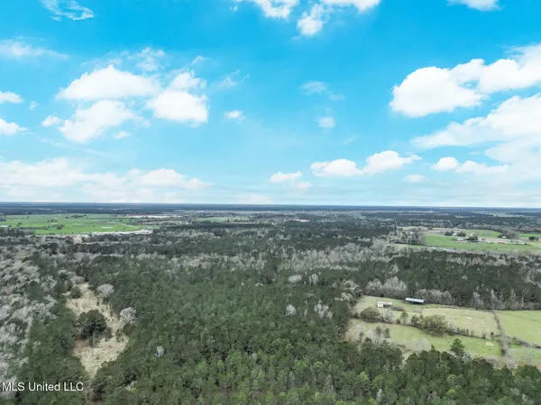 $200,000 | 43 Parcel 1, Picayune, MS 39466
