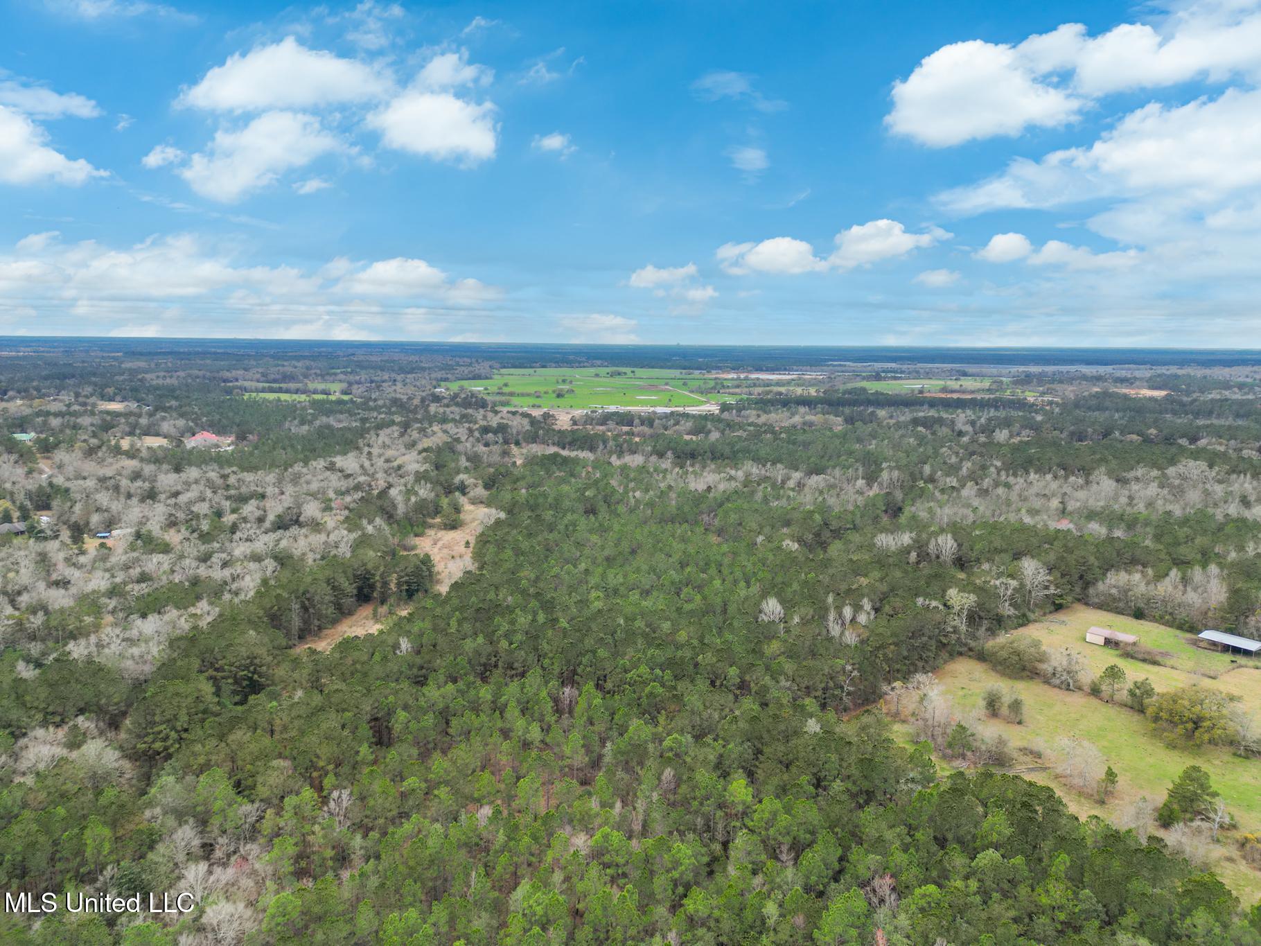 43 Parcel 1 Picayune, MS 39466 - Photo 2 of 5 Hwy 43- 41 acres