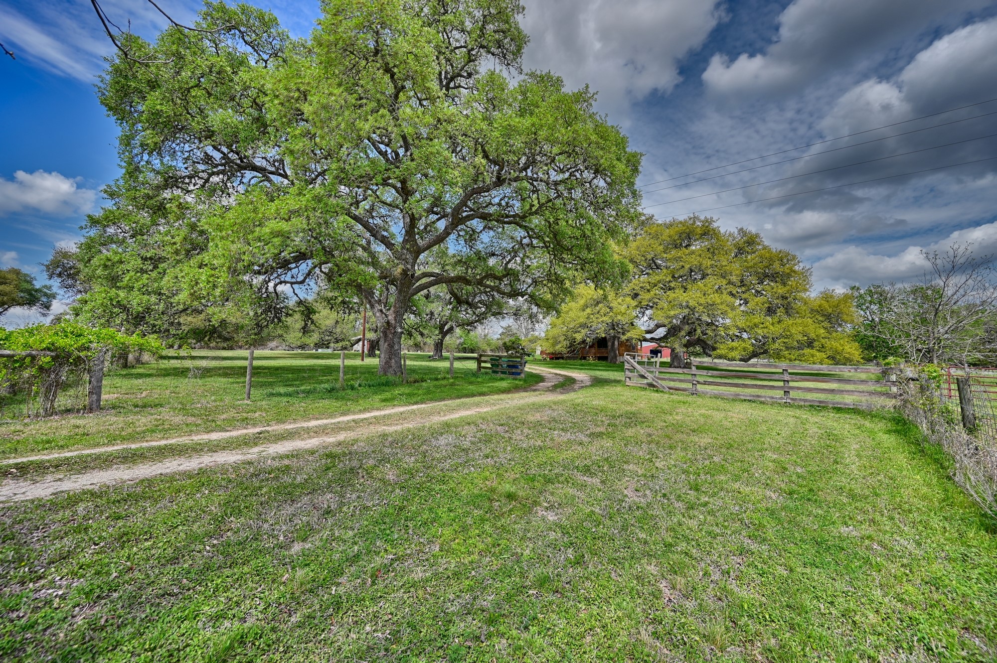 1030 Dixie Road Brenham, TX 77833 - Photo 11 of 22