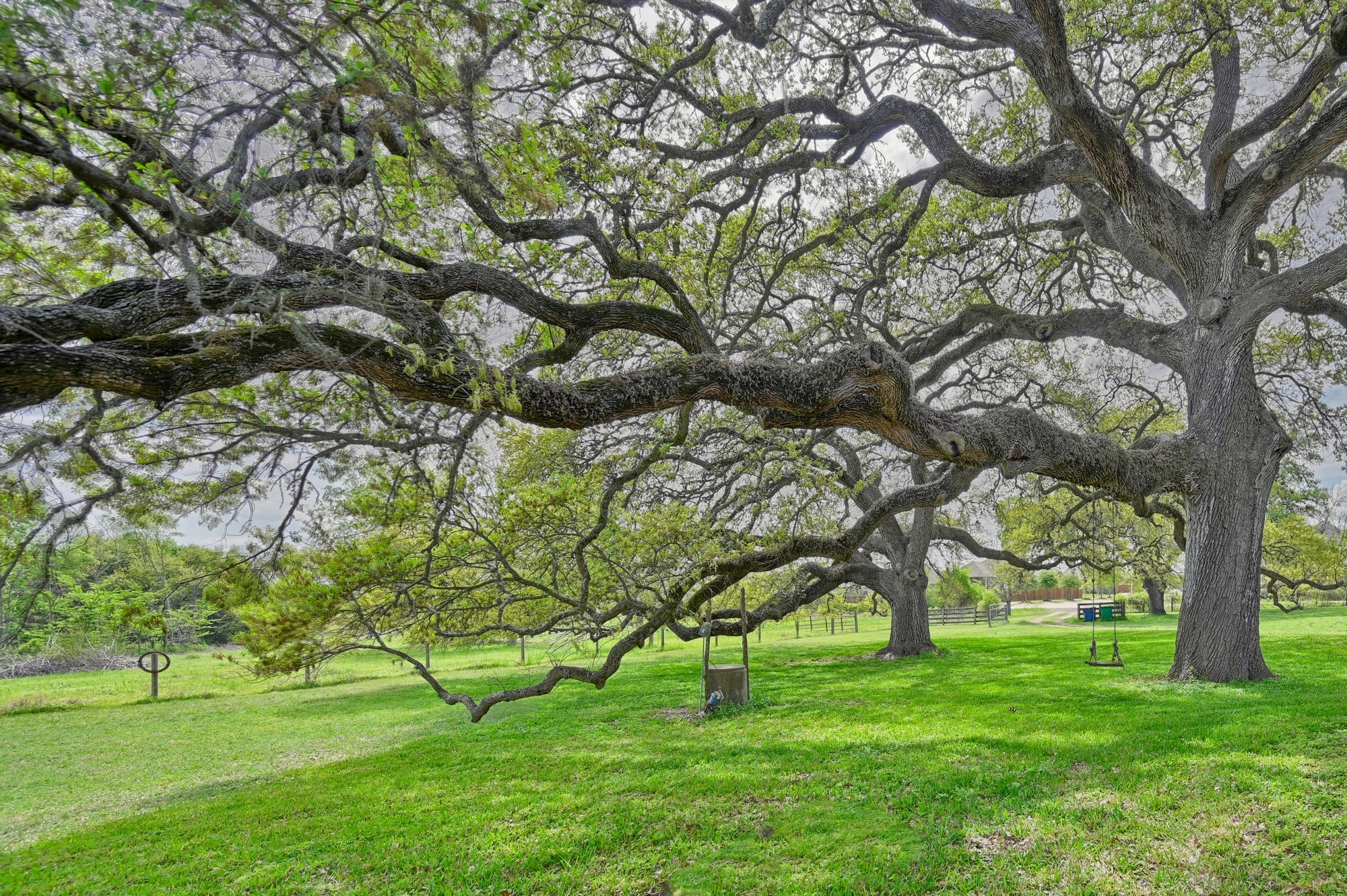 1030 Dixie Road Brenham, TX 77833 - Photo 16 of 22