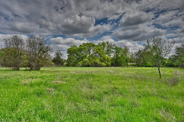 a view of grassy field with trees