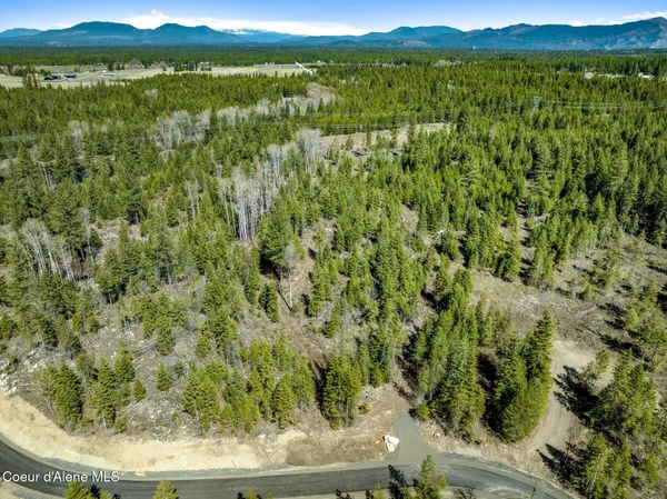 $385,000 | Nka Nka Dickens Road, Athol, ID 83801