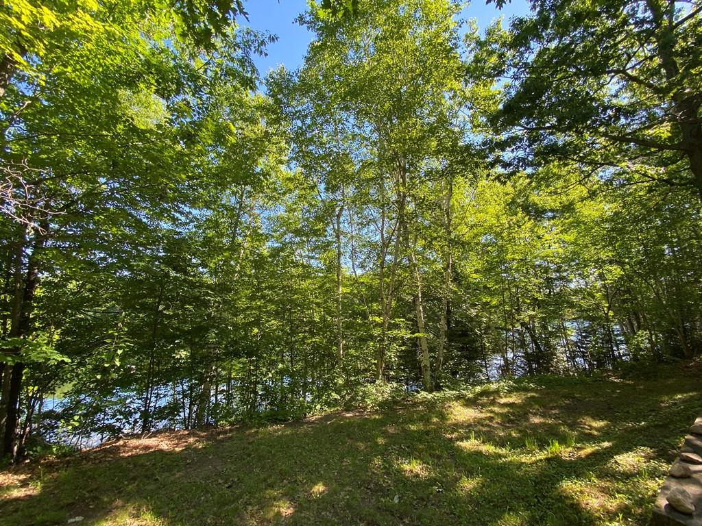 7638 West Point Drive Rhinelander, WI 54501 - Photo 6 of 12 Gallery Image 6