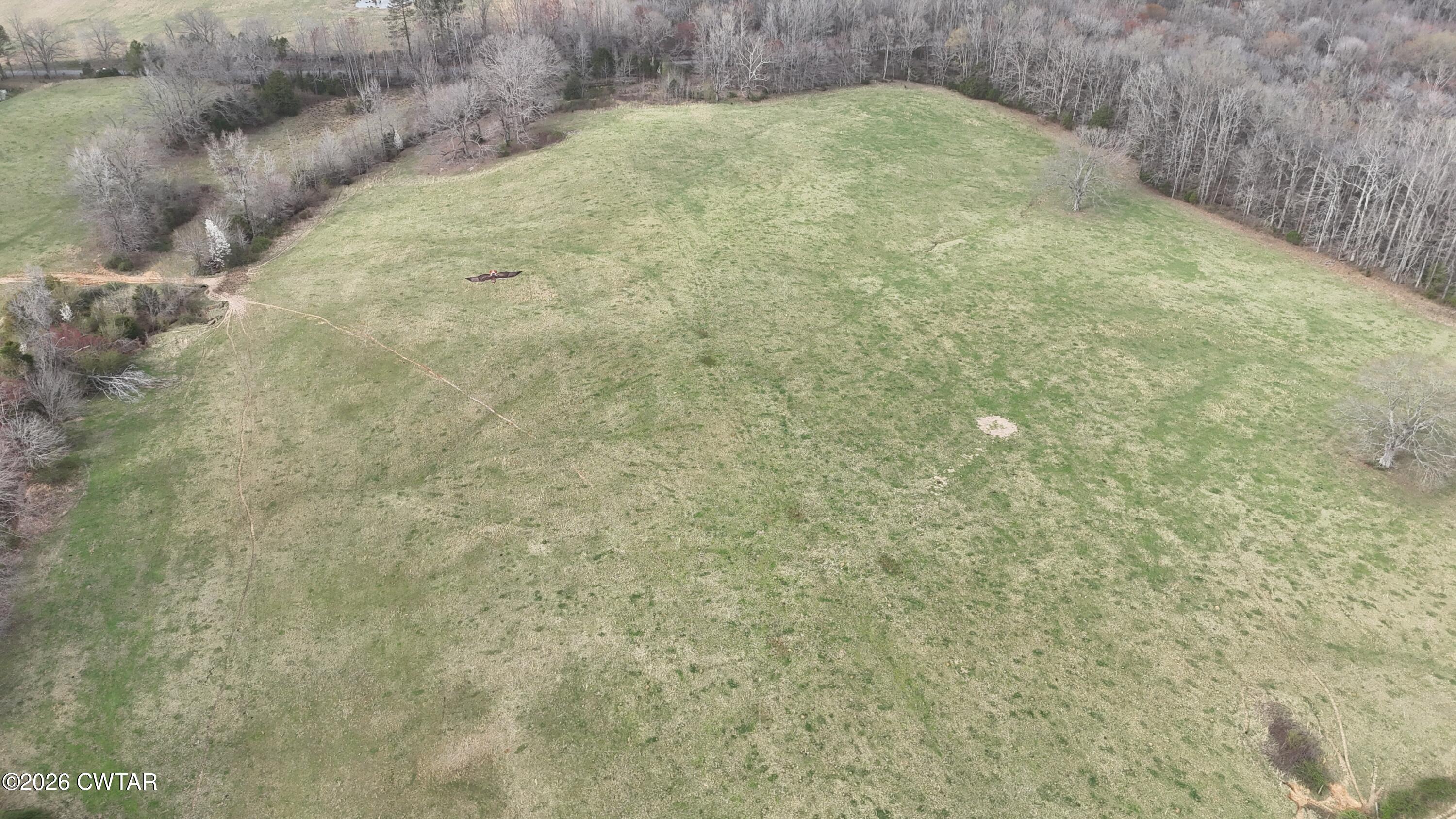 2 Brazil Bottom Road Lexington, TN 38351 - Photo 10 of 14 DJI_20250319162746_0429_D