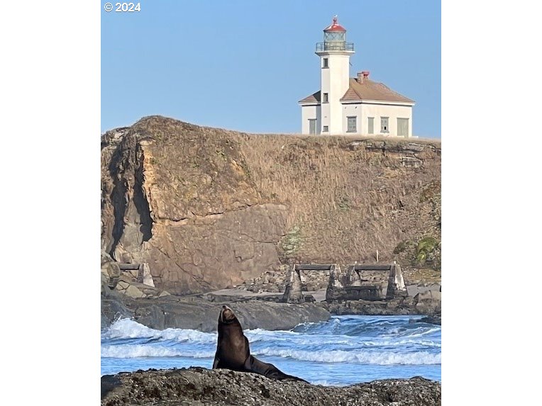 89181 Lighthouse Way Coos Bay, OR 97420 - Photo 44 of 47