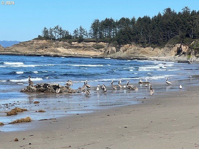 89181 Lighthouse Way Coos Bay, OR 97420 - Photo 10 of 47