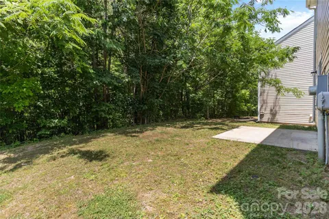 a view of a yard with plants and trees
