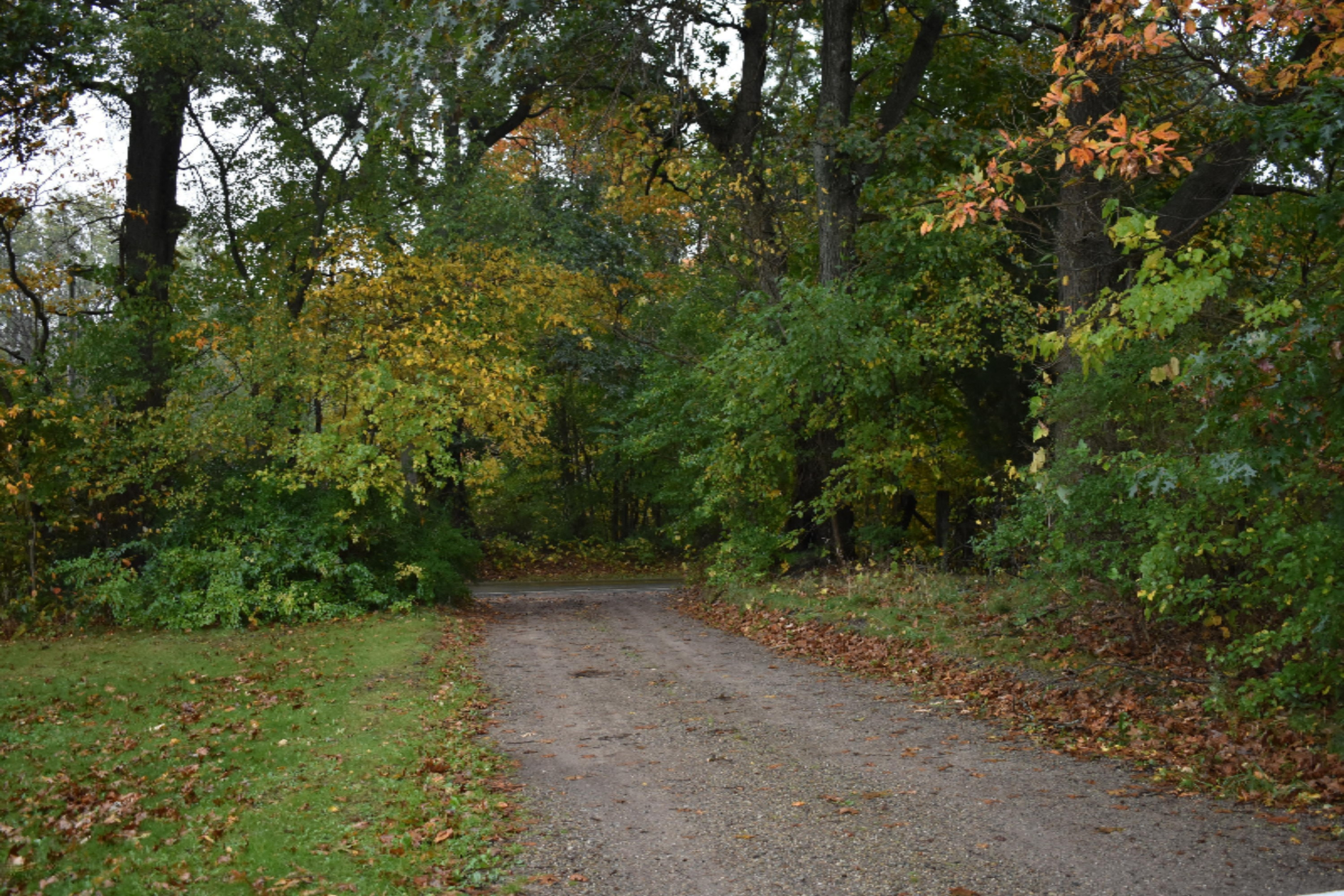69708 Leet Road Niles, MI 49120 - Photo 4 of 12 Driveway