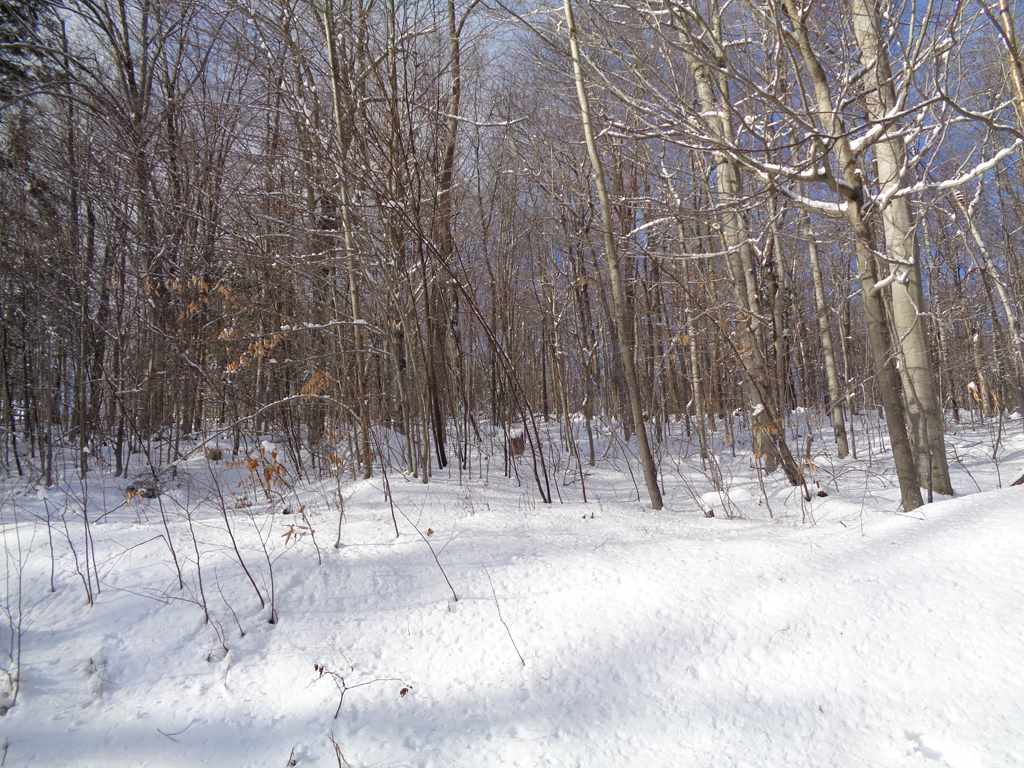 78 King Road Alexandria, NH 03222 - Photo 19 of 32