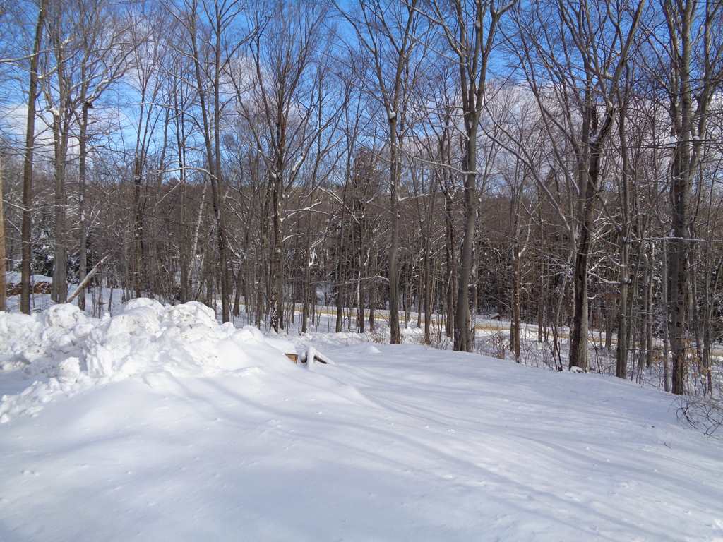 78 King Road Alexandria, NH 03222 - Photo 20 of 32