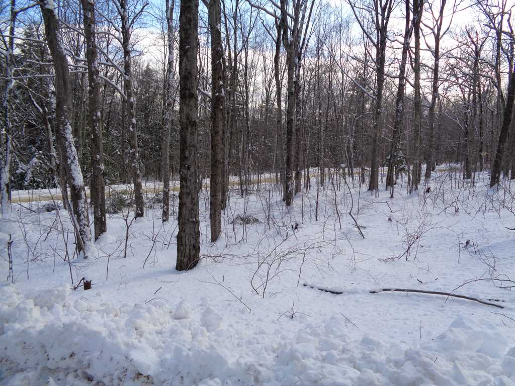 78 King Road Alexandria, NH 03222 - Photo 25 of 32