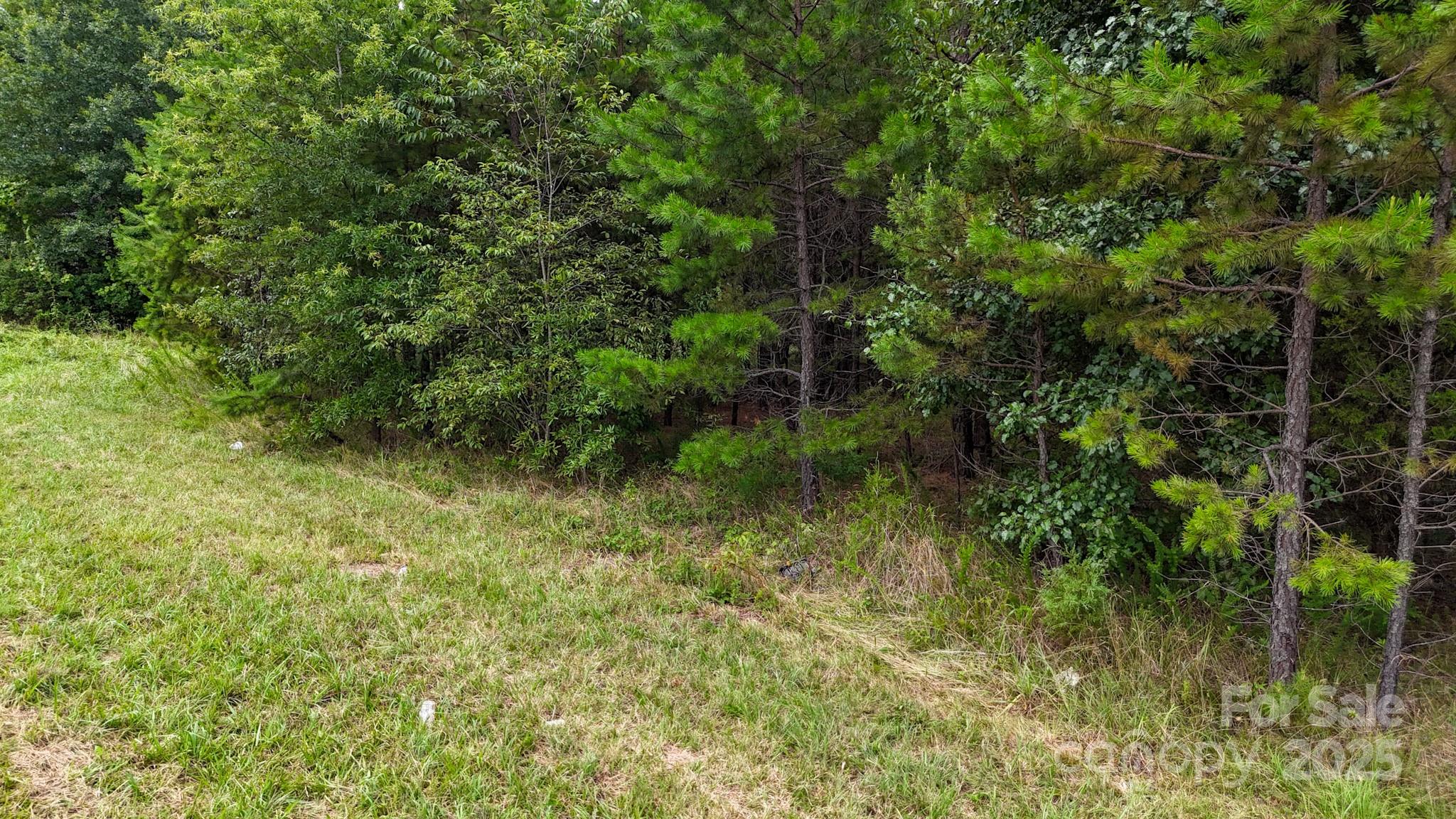 0 Kool Park Road Northeast Hickory, NC 28601 - Photo 14 of 18