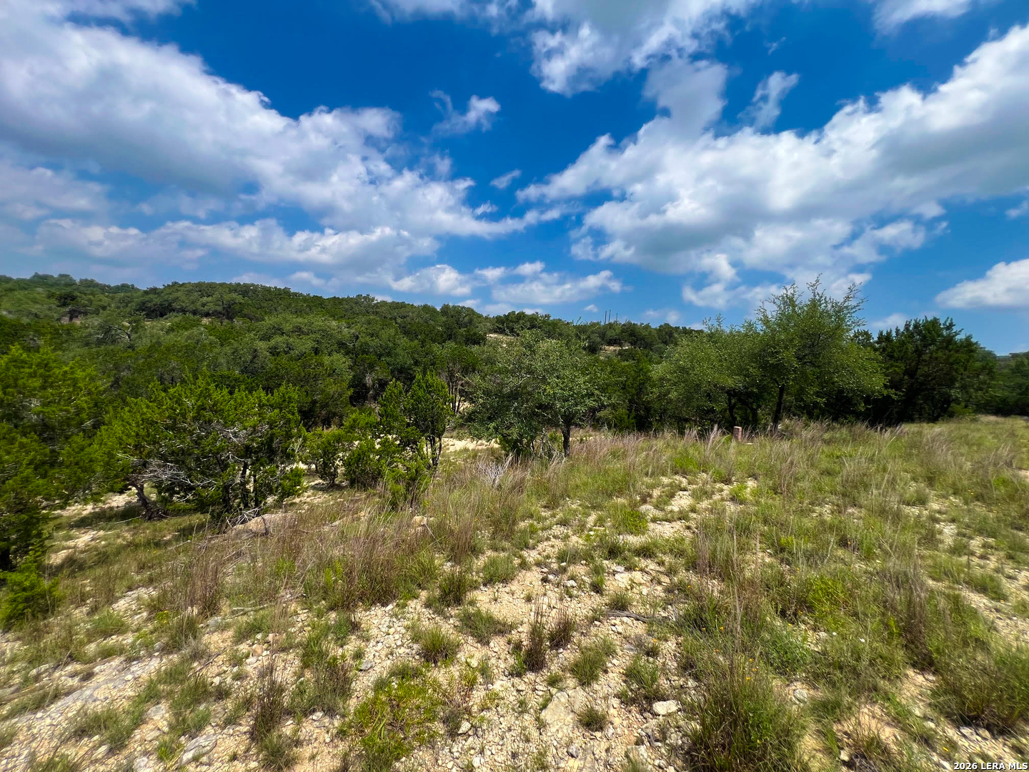 119 Champion Way Spring Branch, TX 78070 - Photo 21 of 22