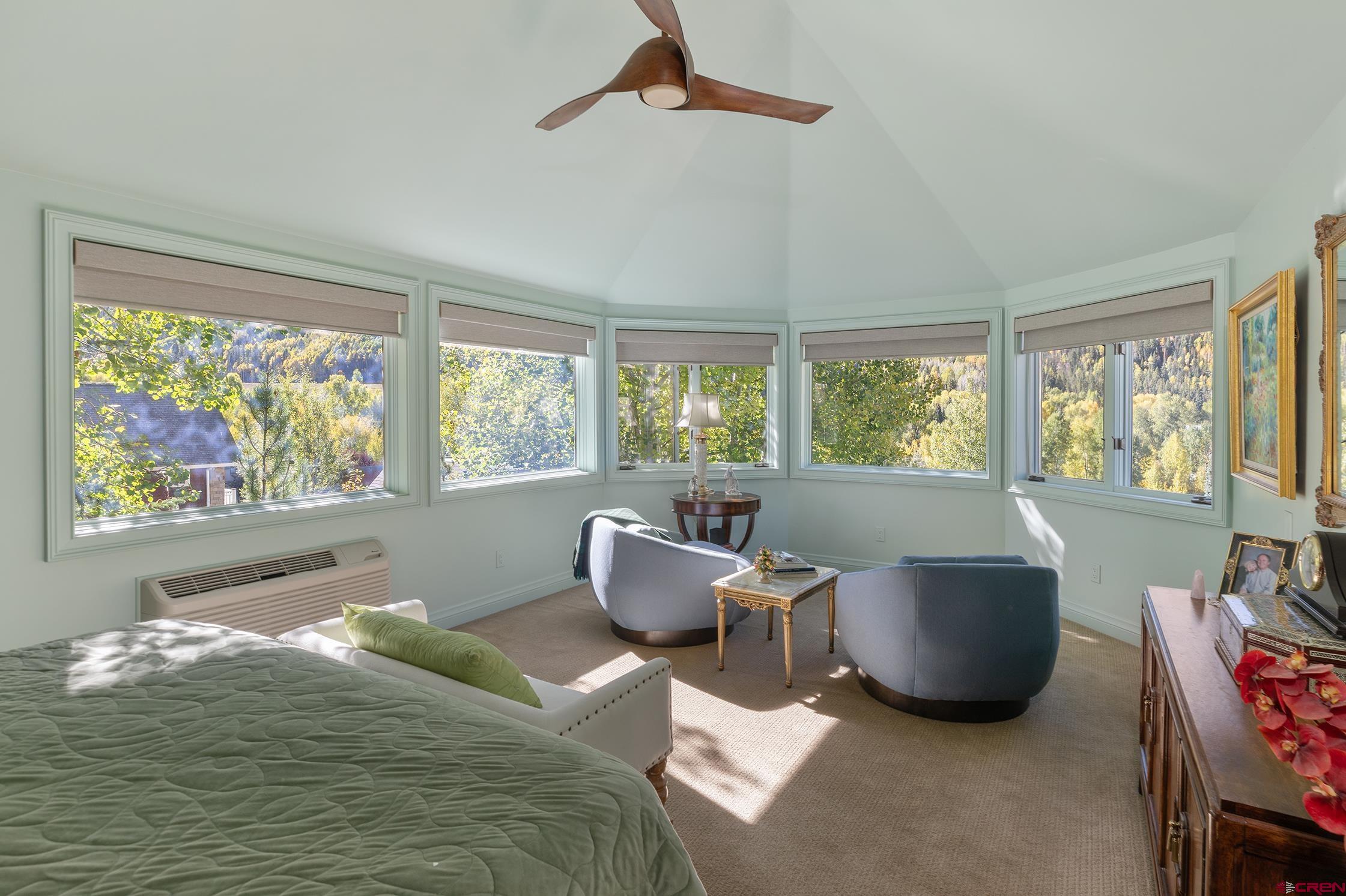 721 East Columbia Avenue Telluride, CO 81435 - Photo 14 of 44 a living room with furniture and windows