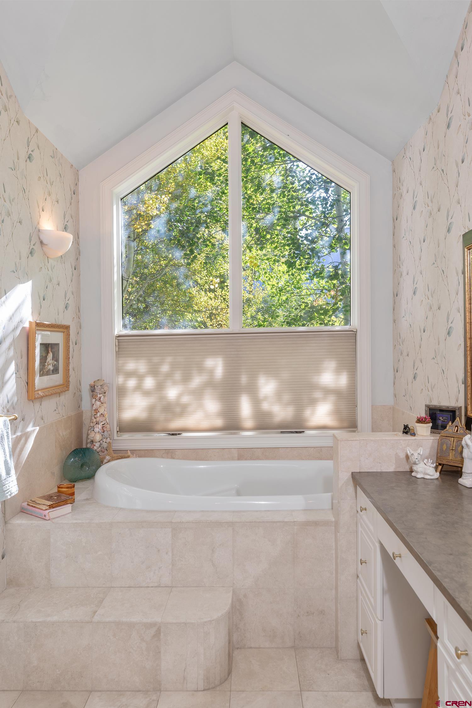 721 East Columbia Avenue Telluride, CO 81435 - Photo 15 of 44 a living room with a sink furniture and a large window