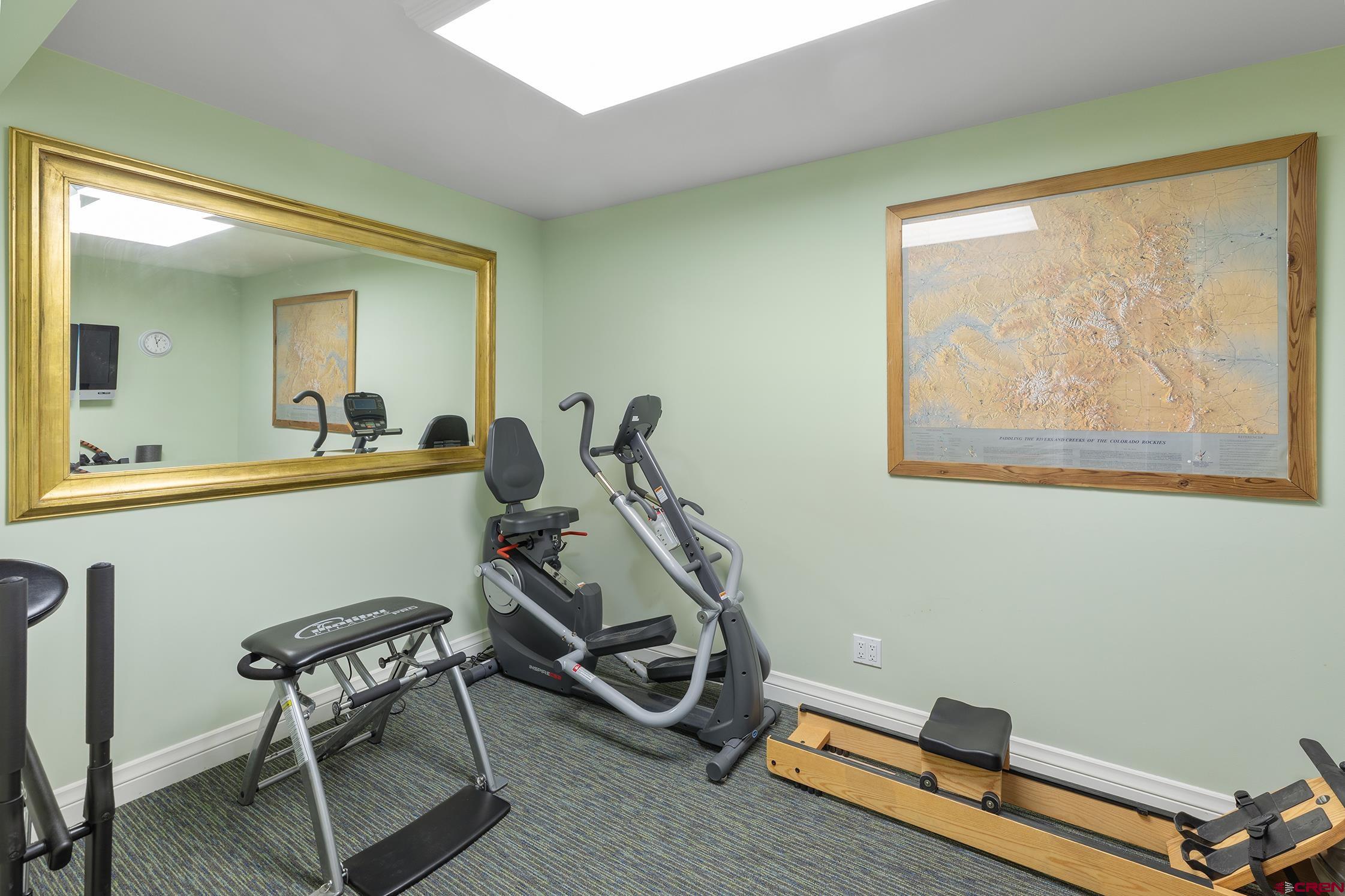 721 East Columbia Avenue Telluride, CO 81435 - Photo 29 of 44 a room with gym equipment and windows
