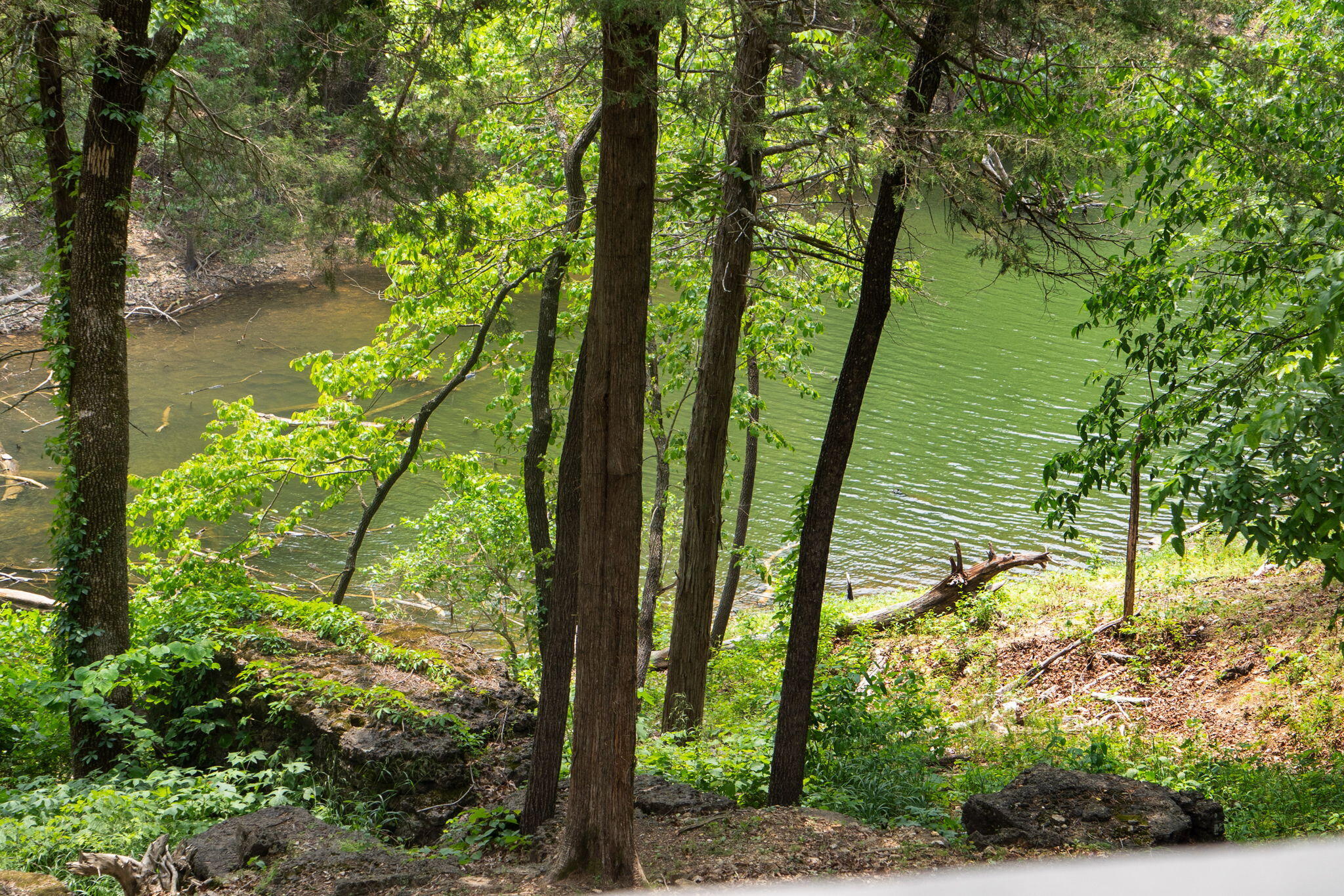 27278 Timber Springs Road Shell Knob, MO 65747 - Photo 13 of 43 great fishing