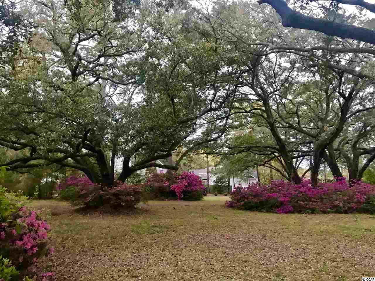 4565 County Rd S-26-51 Murrells Inlet, SC 29576 - Photo 3 of 25 Gallery Image 3