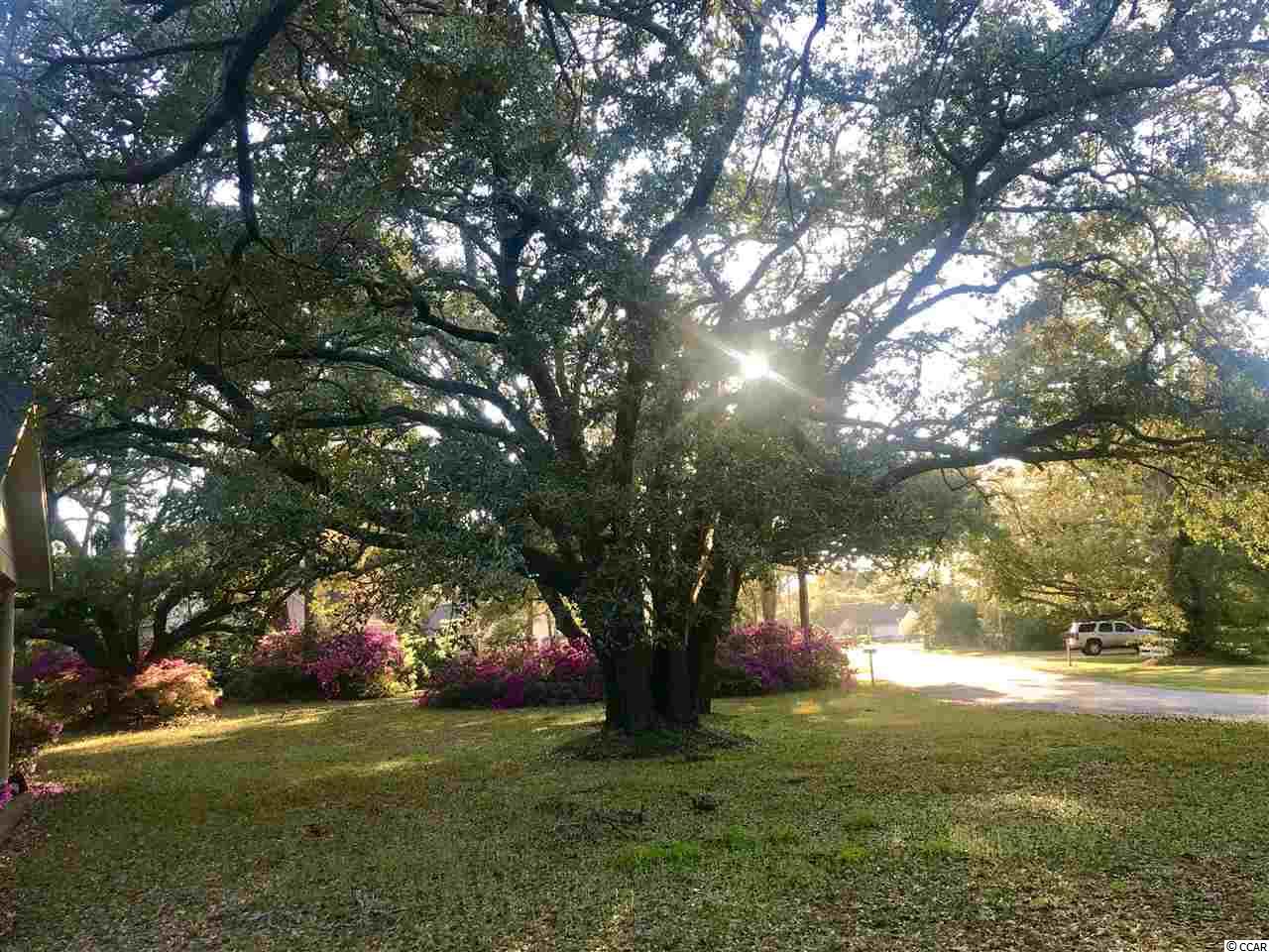 4565 County Rd S-26-51 Murrells Inlet, SC 29576 - Photo 22 of 25 Gallery Image 22