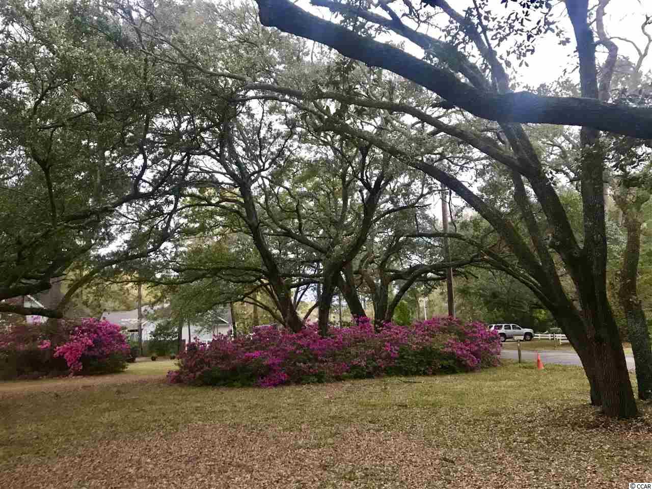 4565 County Rd S-26-51 Murrells Inlet, SC 29576 - Photo 5 of 25 Gallery Image 5