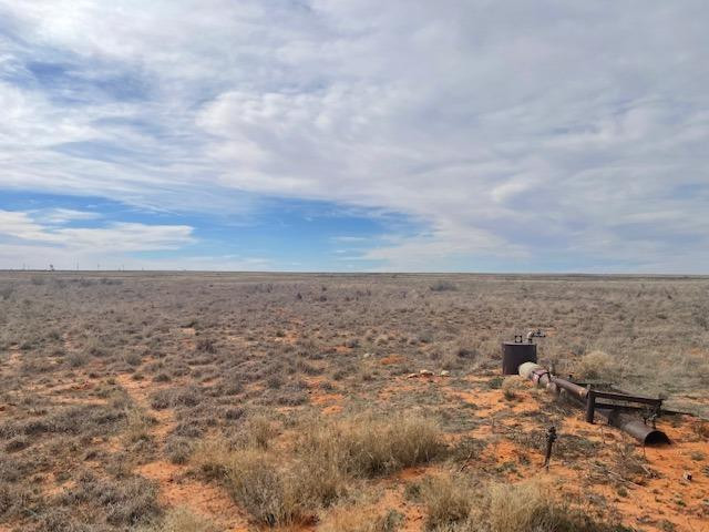0 County Road 341 Seminole, TX 79360 - Photo 4 of 6 an aerial view of residential building and trees