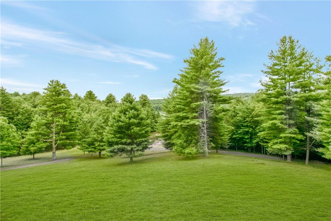 941 Starlight Road Monticello, NY 12701 - Photo 30 of 30 a backyard of a house with lots of green space