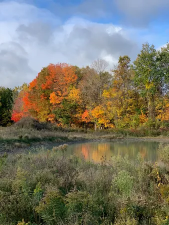 $274,900 | V/l V/l Hidden Creek Trail, Unit C, Hamilton, MI 49419
