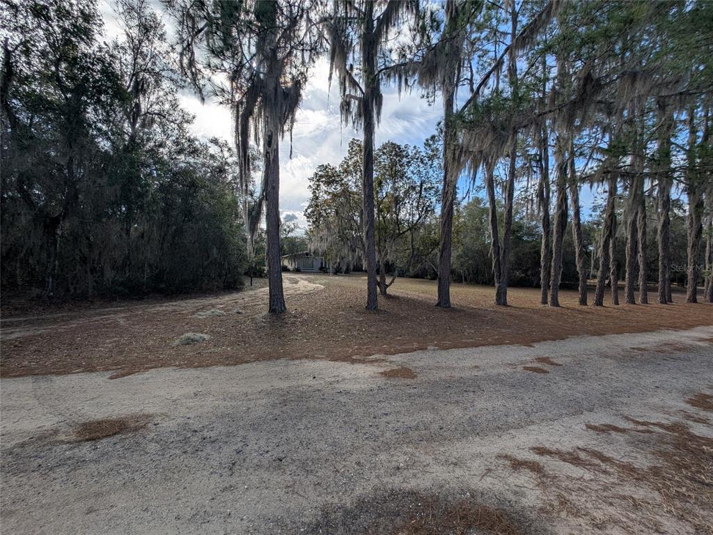 13668 Northeast 226th Avenue Road Salt Springs, FL 32134 - Photo 3 of 30 a view of outdoor space with tree s