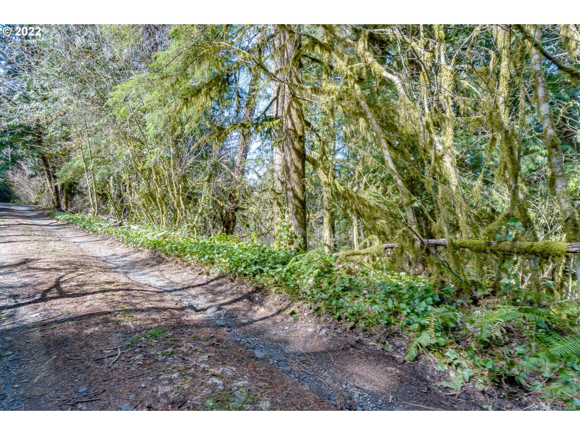 0 East Jennie Lane Rhododendron, OR 97049 - Photo 3 of 4 Gallery Image 3