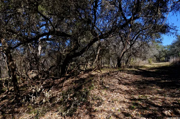 $118,000 | 181 Beeville Tx 78102, Normanna, TX 78142