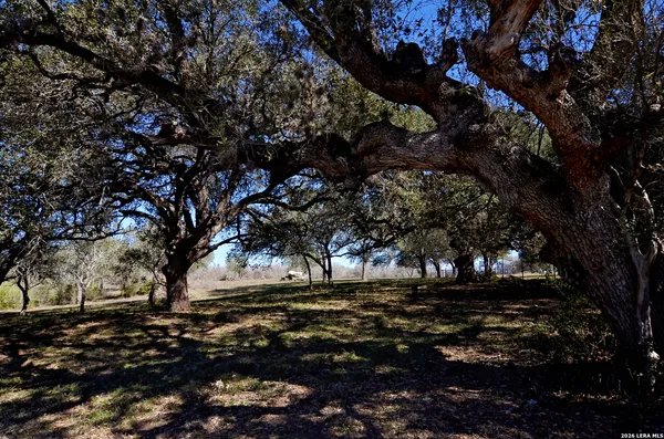 $118,000 | 181 Beeville Tx 78102, Normanna, TX 78142