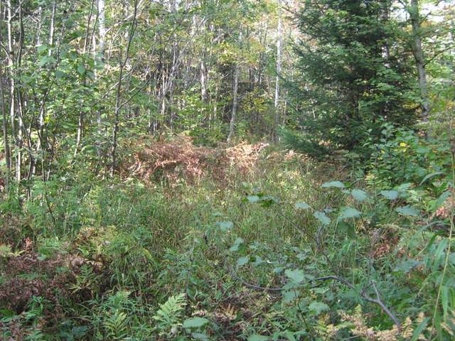W6382 Hoefferle Road Park Falls, WI 54552 - Photo 13 of 20 Gallery Image 13