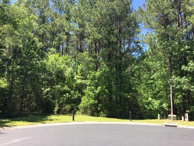 Lot 22 Briar Bend Road Ridgeville, SC 29472 - Photo 2 of 5 Winterseat Pic2